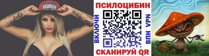 Купить где  Волчанск  Галлюциногенные грибы Psilocybine cubensis 
